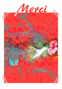 Hummingbird et Papillon pour dire merci